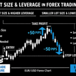 Lots Pips Leverage